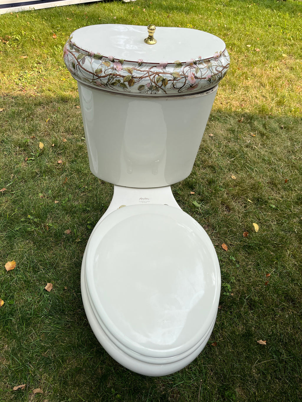 Kohler Artist Series Toilet