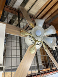 Ceiling Fan